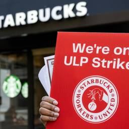 A worker holds a sign reading: We're on ULP strike!