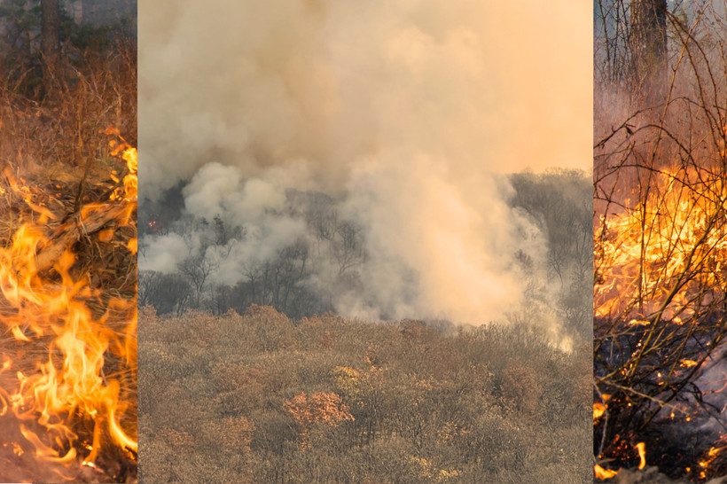 A photo collage, photo of smoke billowing above trees in Jennings Creek layered over an photo of brush on fire.