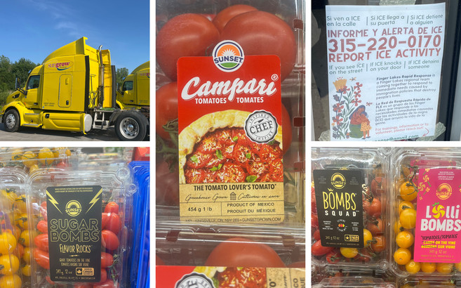 A photo collage shows multiple packages of tomatoes from the brand Mastronardi, as well as a yellow Sungrow truck and a flier taped in a window with a number to report ICE activity in Spanish and English.