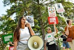 A woman protester shouts into a large megaphone in the foreground. A few older protesters stand behind her with signs reading "Gaza love," "Abandon Biden--ceasefire now" and have flower and peace sign imagery.