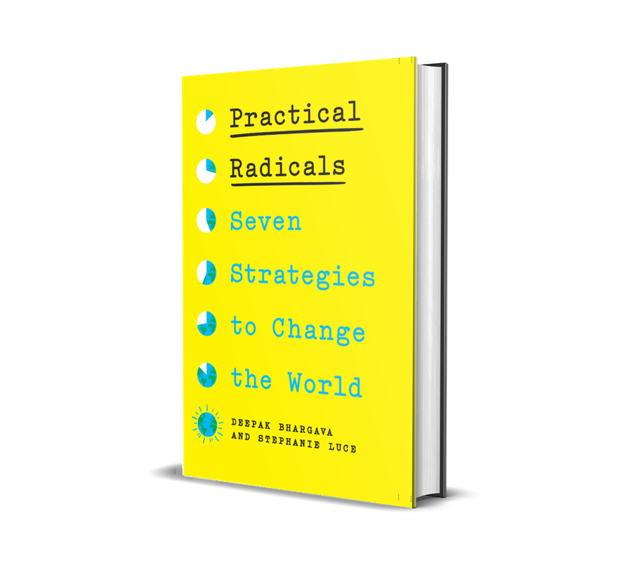 Bright yellow book jacket with the book title Practical Radicals: Seven Strategies to Change the World. The authors names, Deepak Bhargava and Stephanie Luce, are printed below the titled. list