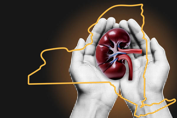 Cupped hands giving or receiving a kidney, surrounded by an outline of New York state.