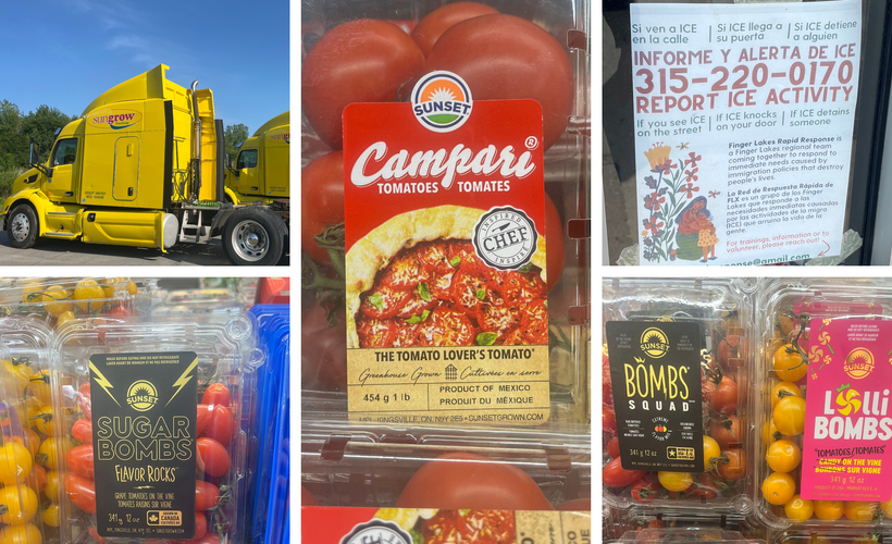 A photo collage shows multiple packages of tomatoes from the brand Mastronardi, as well as a yellow Sungrow truck and a flier taped in a window with a number to report ICE activity in Spanish and English.