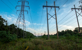 Morning scenic of a power line field in Suffolk County, Long Island, NY.