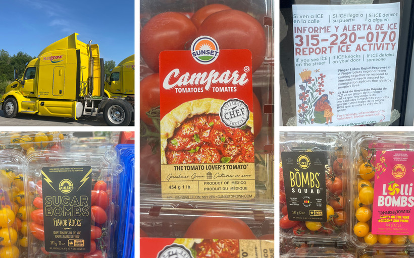 A photo collage shows multiple packages of tomatoes from the brand Mastronardi, as well as a yellow Sungrow truck and a flier taped in a window with a number to report ICE activity in Spanish and English.