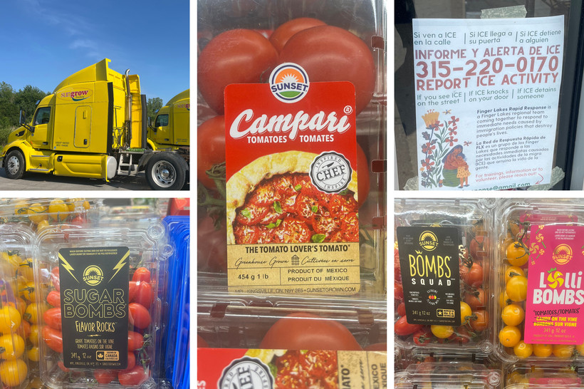 A photo collage shows multiple packages of tomatoes from the brand Mastronardi, as well as a yellow Sungrow truck and a flier taped in a window with a number to report ICE activity in Spanish and English.