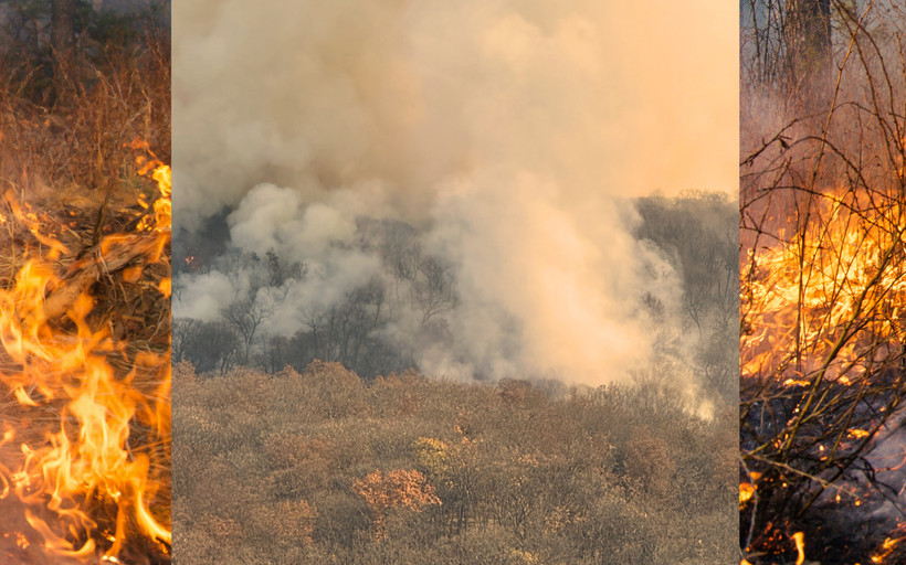 A photo collage, photo of smoke billowing above trees in Jennings Creek layered over an photo of brush on fire.