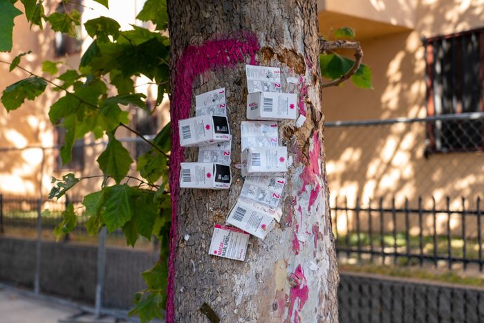 Photo of a tree trunk with 5 or so boxes of narcan nasal spray stapled to the trunk. Lots of staples pepper the tree trunk.
