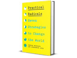 Bright yellow book jacket with the book title Practical Radicals: Seven Strategies to Change the World. The authors names, Deepak Bhargava and Stephanie Luce, are printed below the titled. list