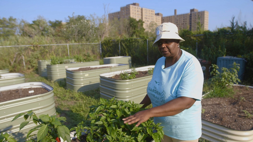 Jackie Rogers runs a community garden in her New York City neighborhood of Edgemere. She says the garden is a place of healing in a place that has suffered from decades of neglect and repeated coastal flooding. “I’m hoping good people with good minds and good hearts look at this community and recognize the potential of what this community can really be,” she says.