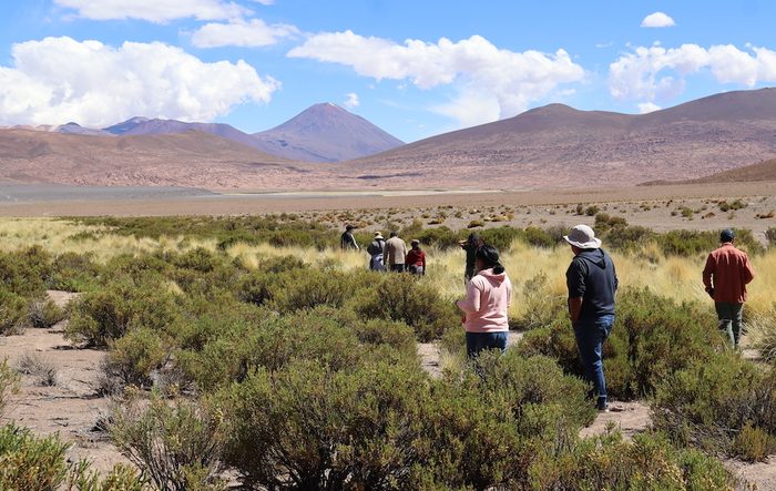 A string of people walk toward distant mountains in a vast green scrubland