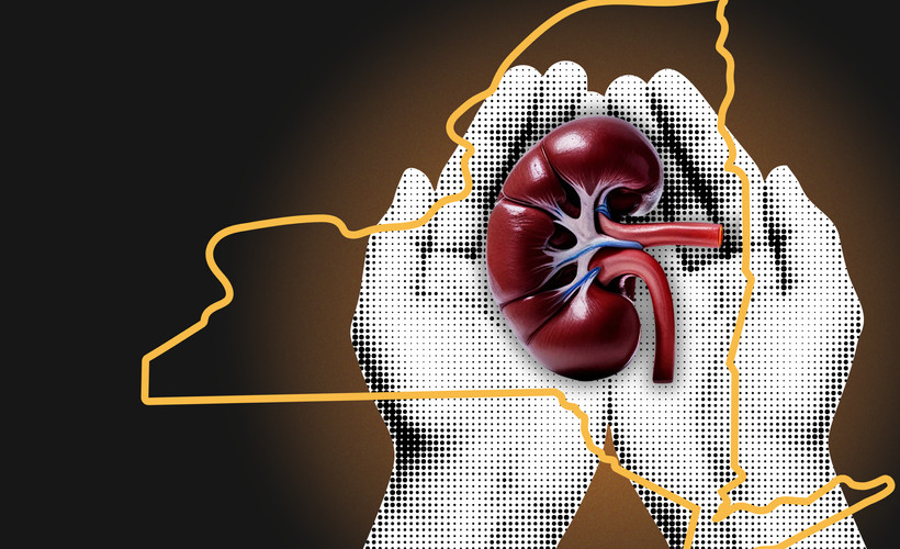 Cupped hands giving or receiving a kidney, surrounded by an outline of New York state.