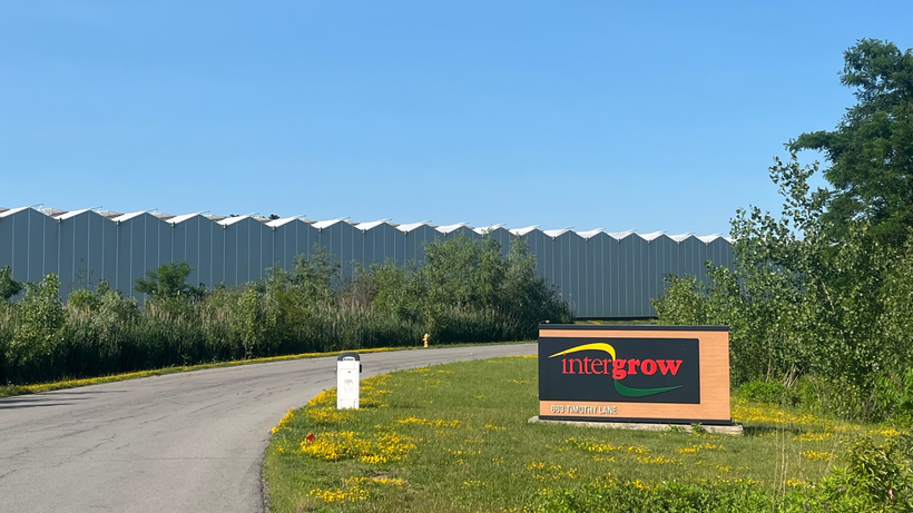 Entrance to the Sungrow tomato plant.
