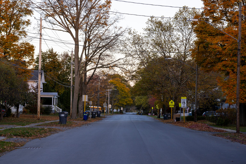 A street in the neighborhood in Dundee, where trees who have lost most of their leaves or whose leaves have adopted fall colors line the streets. The only cars are those in the driveways. It appears quiet and still.