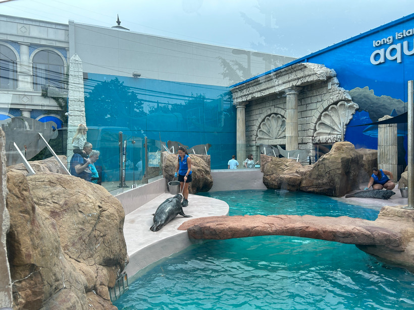 The seal exhibit at the Riverhead Aquarium